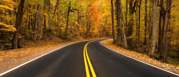 Getting Your Car Ready for Autumn: A Norfolk Checklist