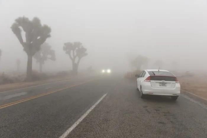 Driving in Fog on Norfolk's Country Roads: Safety Tips