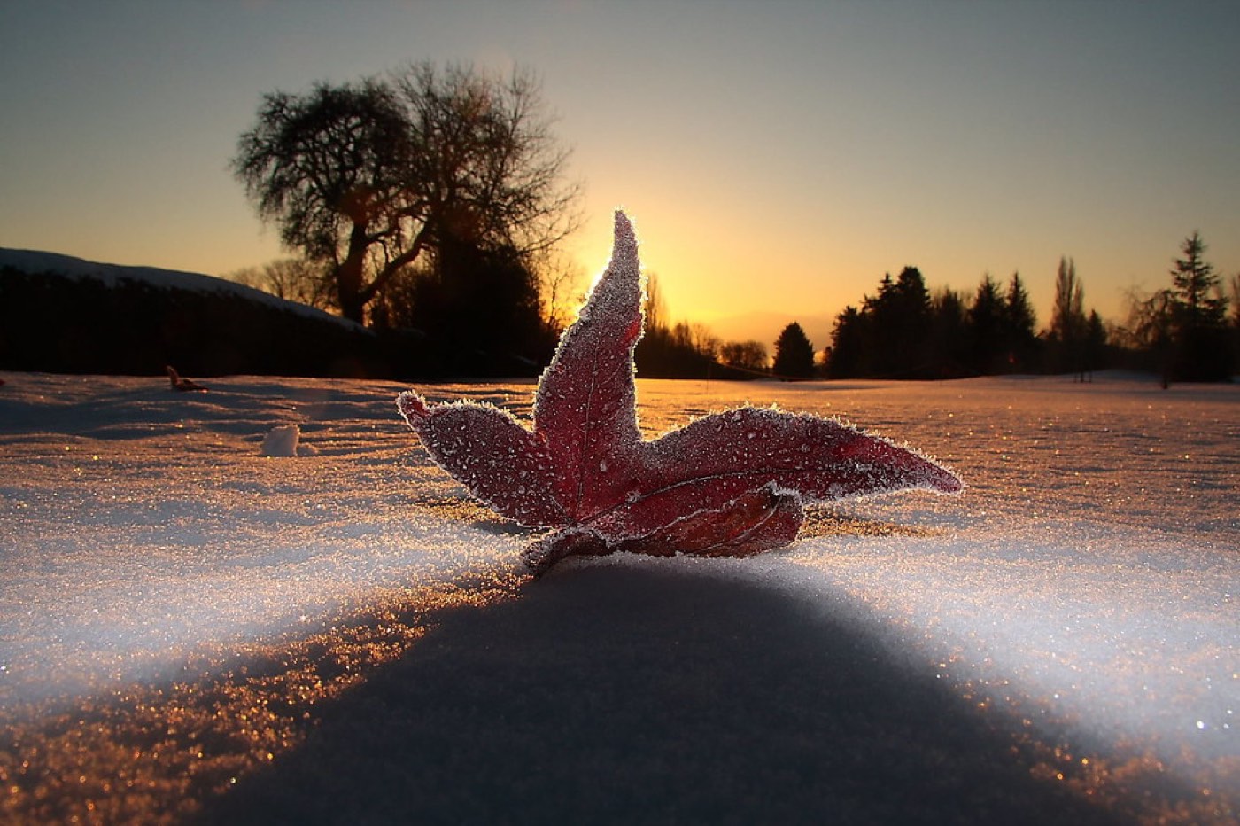 Why Your Car Electrics Play Up in the Cold